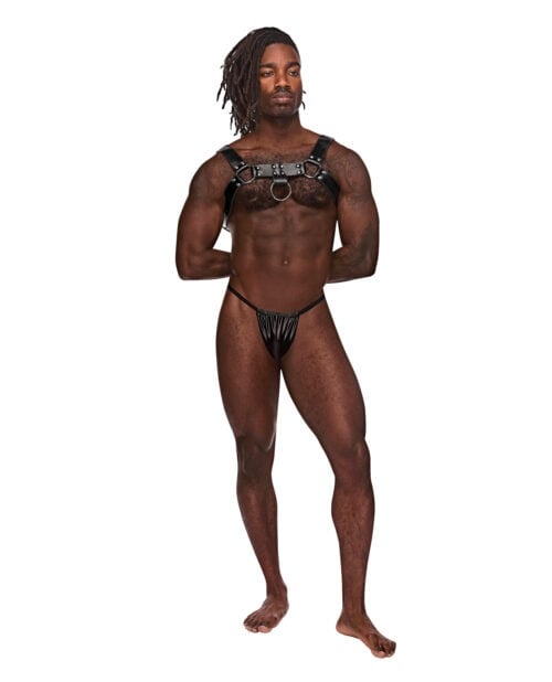 Male Power Leather Aries Single Ring Harness Black - One Size Fetish Lingerie for Him