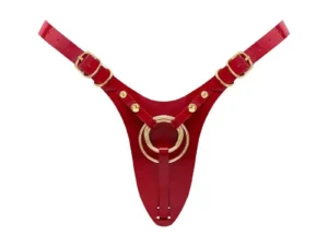 Lovely Planet USA Strap-On-Me Leatherette Harness Fabulous One Size Red Glossy