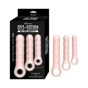 Nasstoys Ass-Sation Anal Wand Training Kit